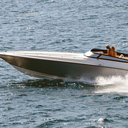 A high-performance speedboat